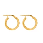 Σκουλαρίκια κρίκοι ασημένια-επιχρυσωμένα