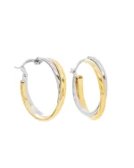 Σκουλαρίκια κρίκοι ασημένια-επιχρυσωμένα