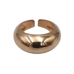 Δαχτυλίδι ασημένιο-επιχρυσωμένο