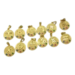 Μενταγιόν ασημένιο-επιχρυσωμένο με ζιρκόν τα 12 ζώδια